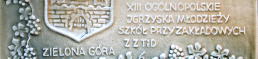 XIII Ogólnopolskie Igrzyska Młodzieży Szkół Przyzakładowych ZZTiD